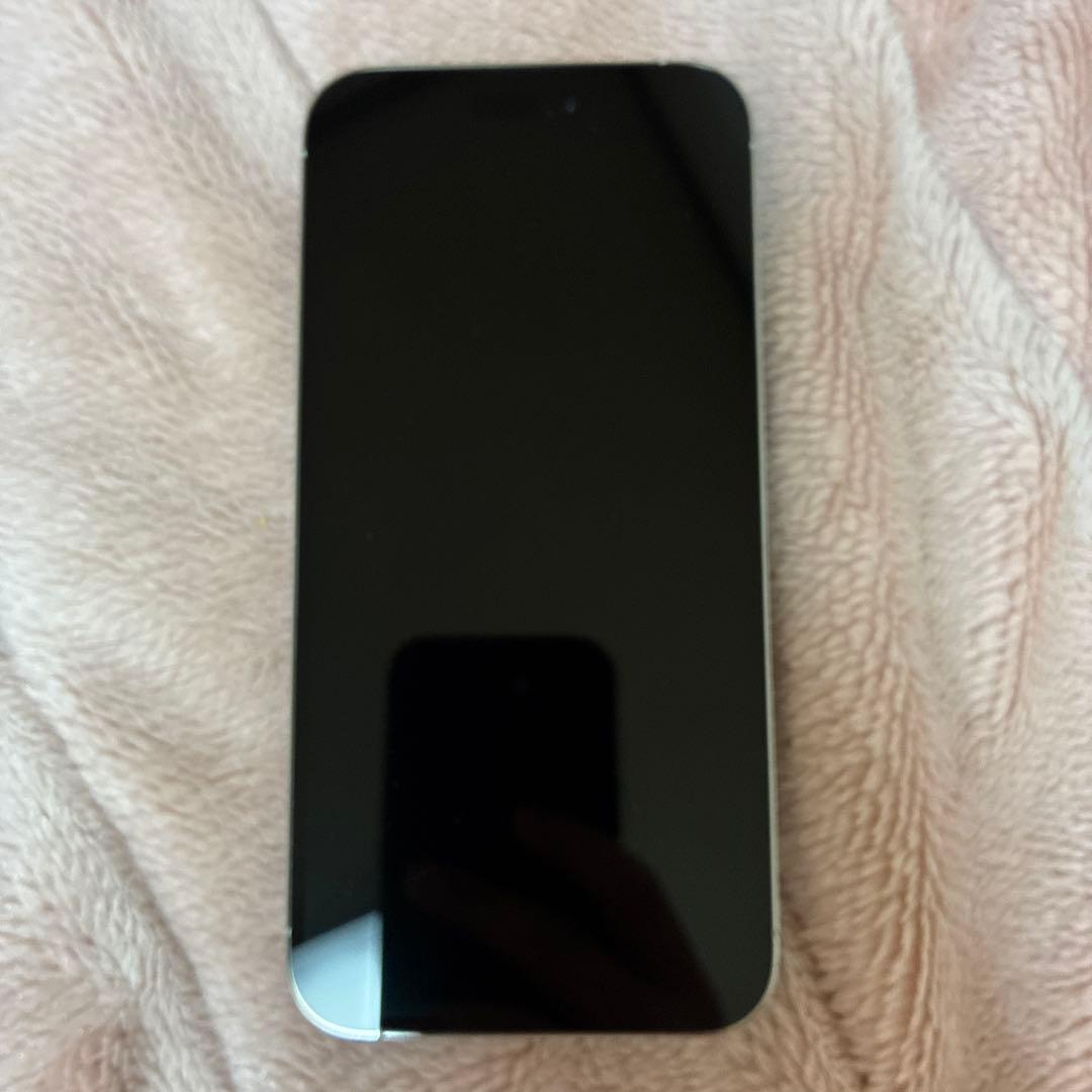 iPhone 14 Pro Max シルバー 1TB (中古品) 箱、充電器なし
