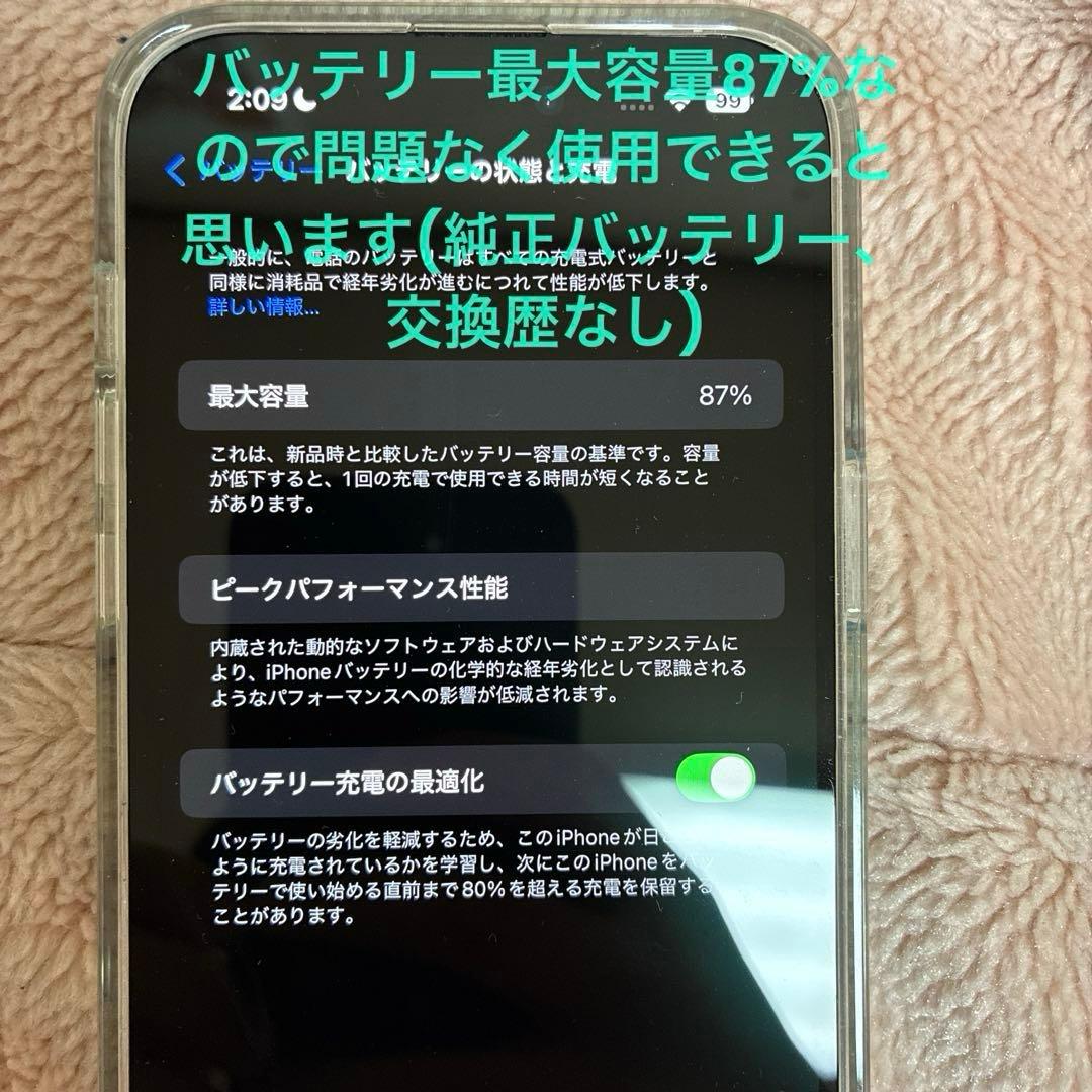 iPhone 14 Pro Max シルバー 1TB (中古品) 箱、充電器なし