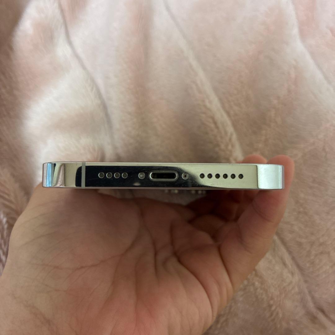 iPhone 14 Pro Max シルバー 1TB (中古品) 箱、充電器なし