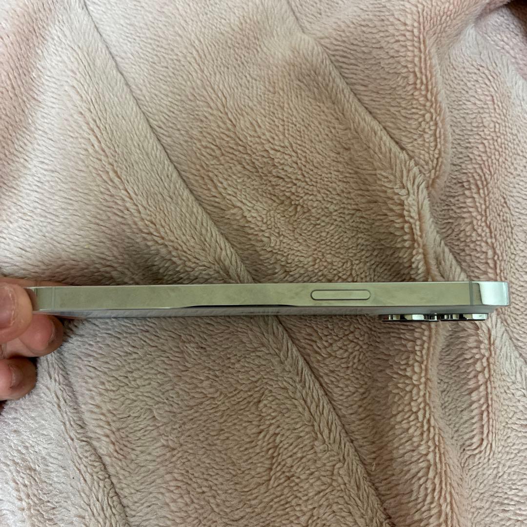 iPhone 14 Pro Max シルバー 1TB (中古品) 箱、充電器なし