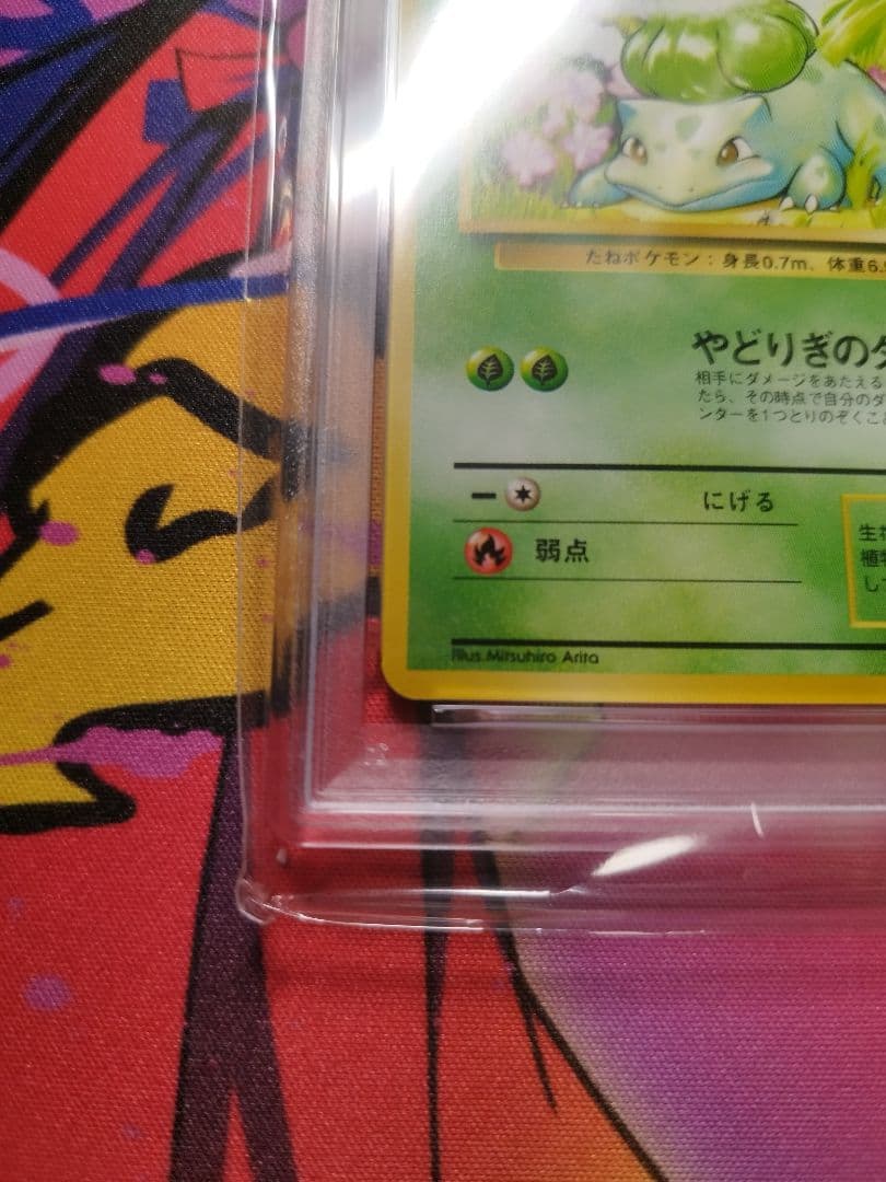 フシギダネ ● : 旧裏 [PMCG1-2]　PSA9