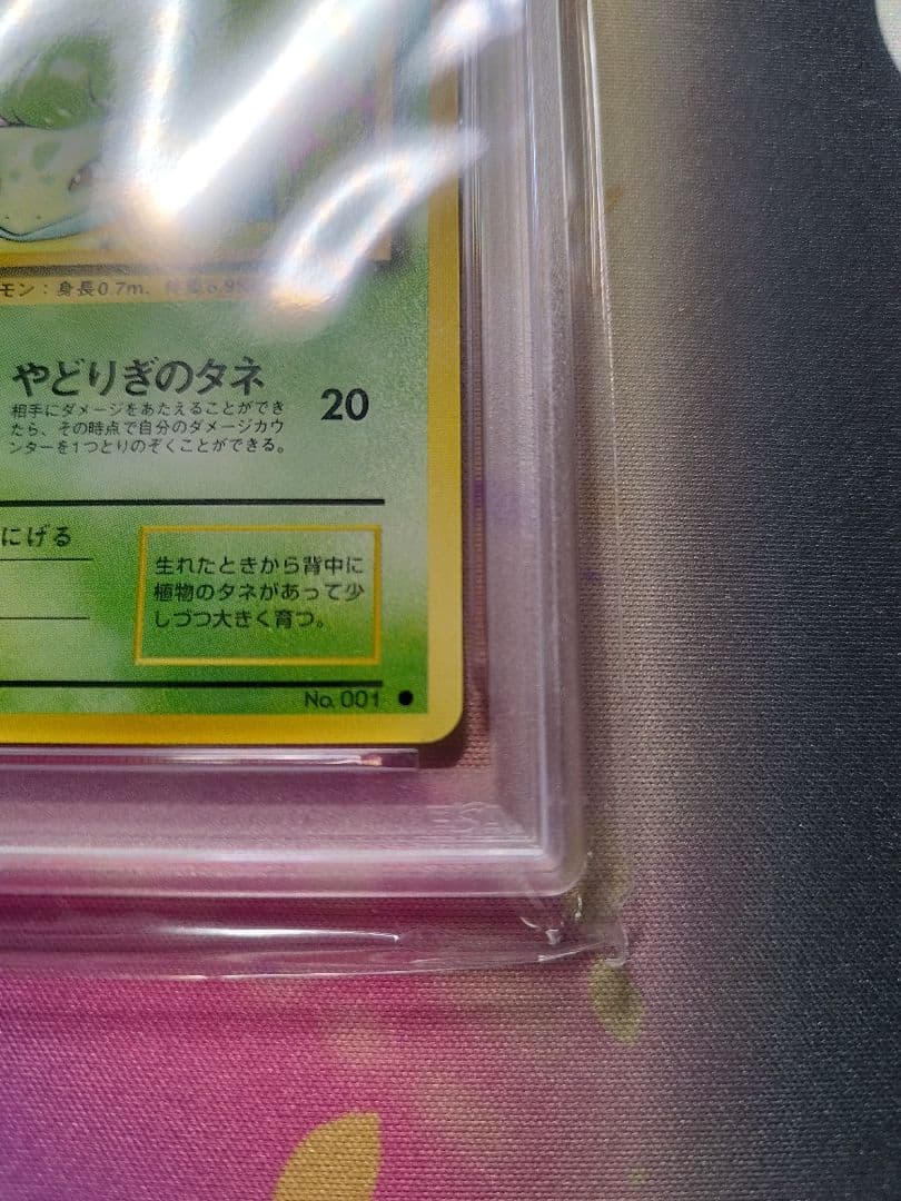 フシギダネ ● : 旧裏 [PMCG1-2]　PSA9