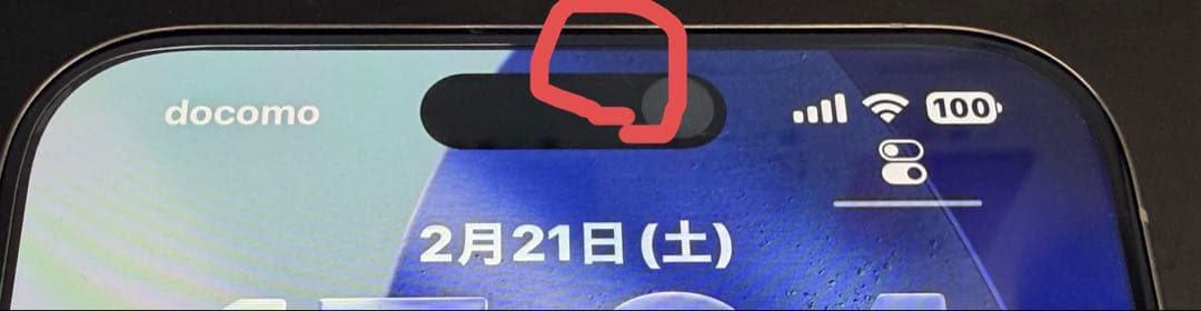 iPhone15promax 512g simフリー