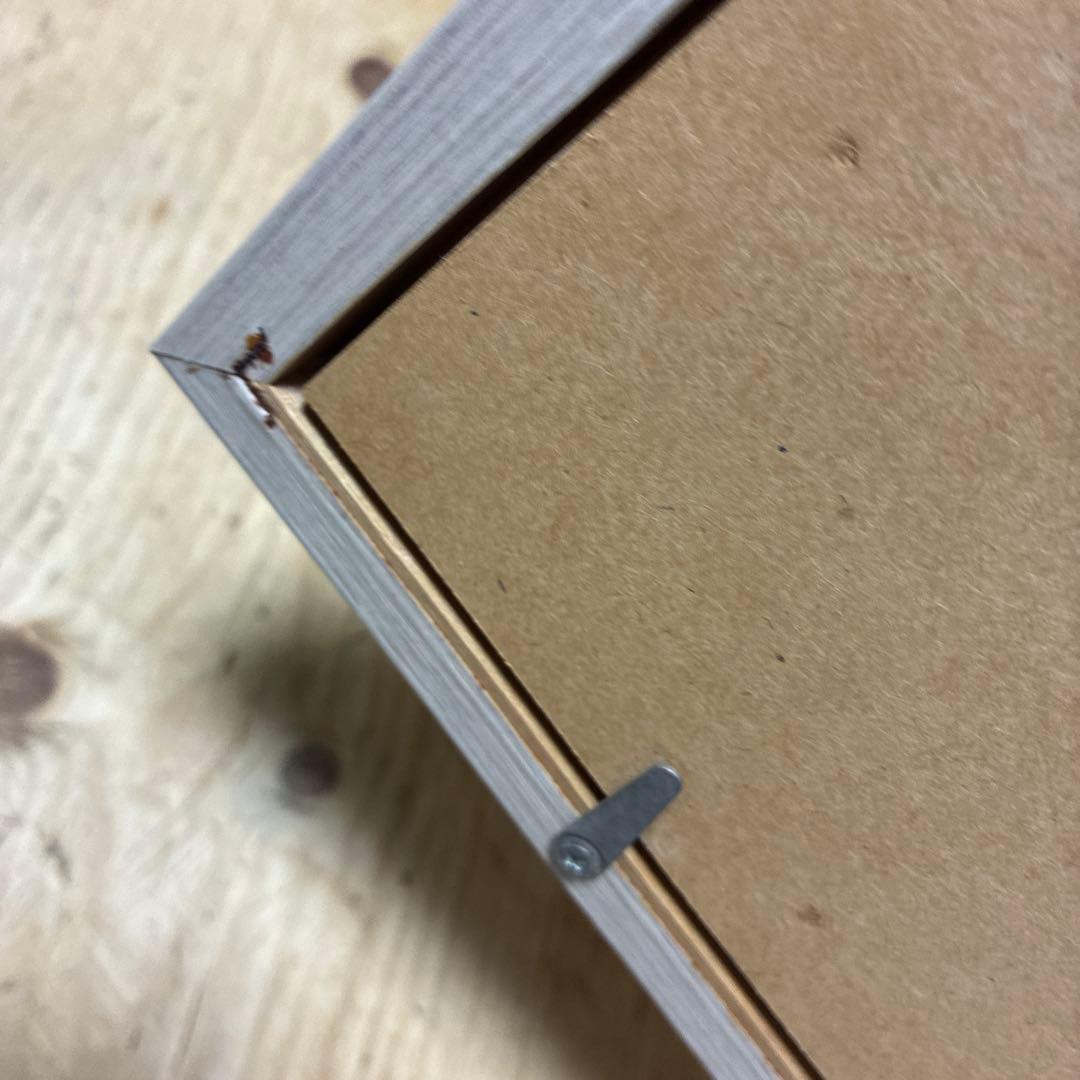 Salvo シルクスクリーン　覗き見　猫　直筆作品サインタイトル記名あり