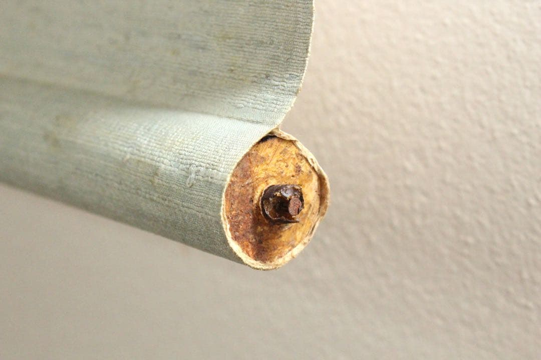 No5236 掛軸　寛瑞雲　禅寛院画像　紙本　日本画　人物　古画　絵画　送料無料