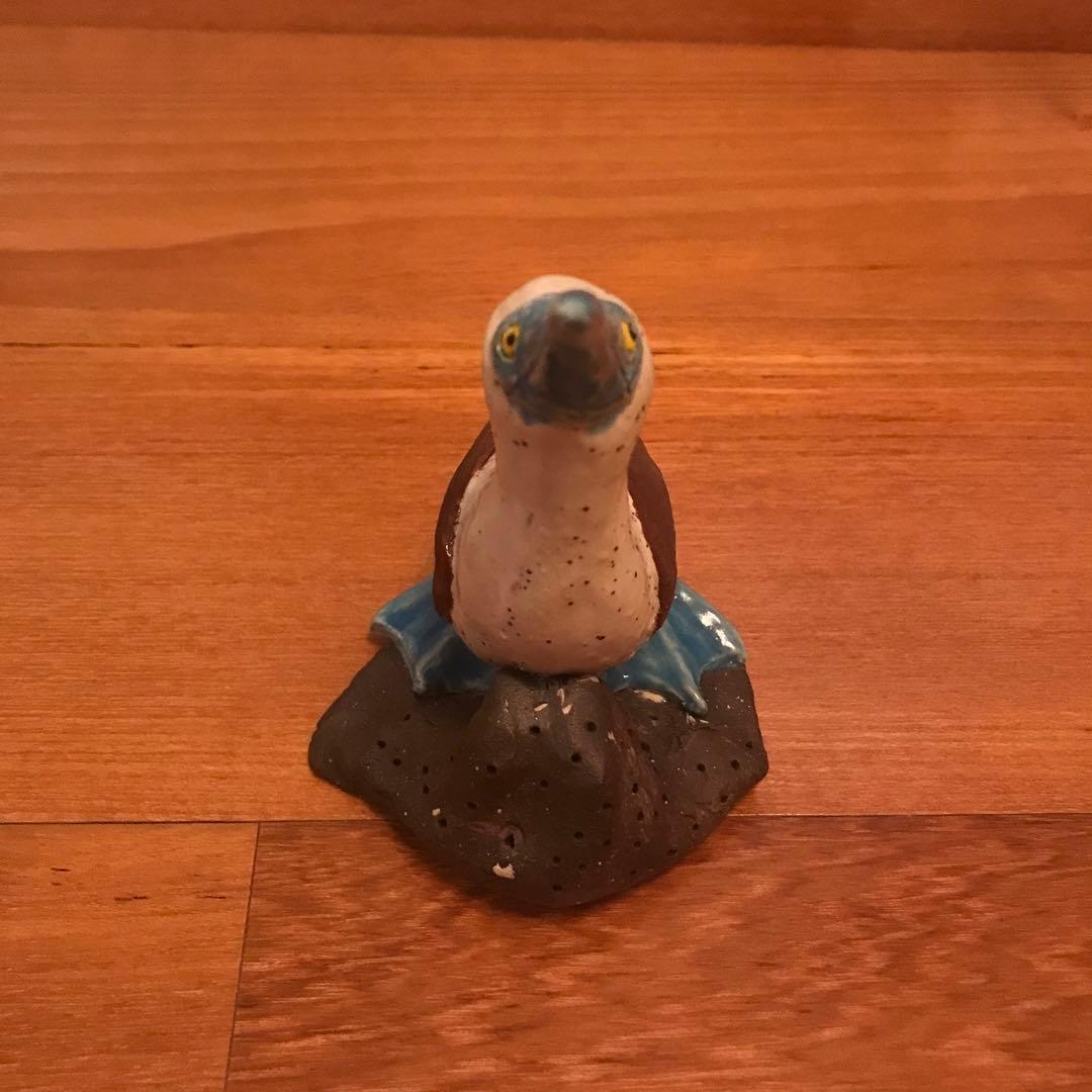 【一点もの】ガラパゴス諸島 アオアシカツオドリ 置物 作家 鳥　陶器人形