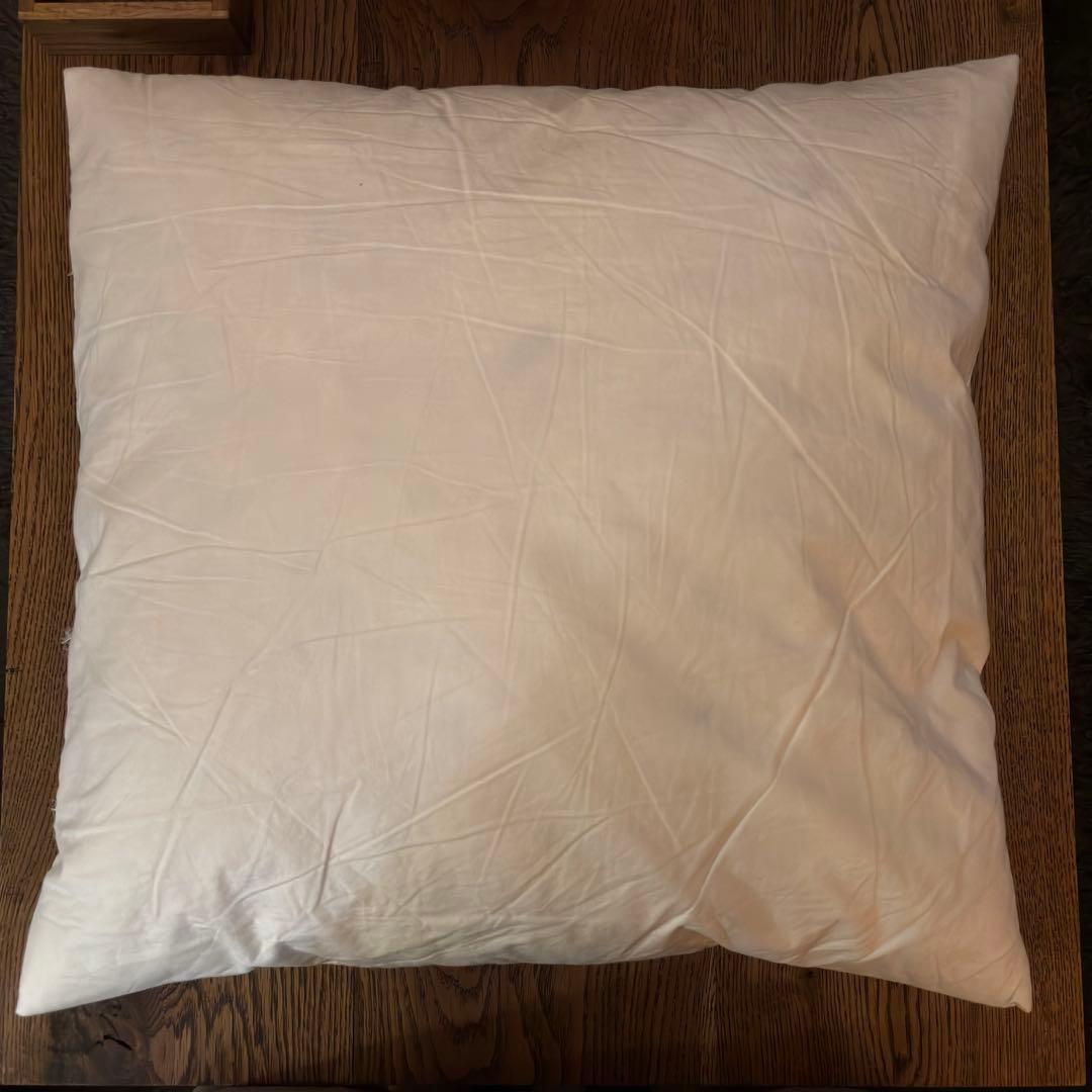 トラックファニチャー フェザークッション中身のみ　50×50