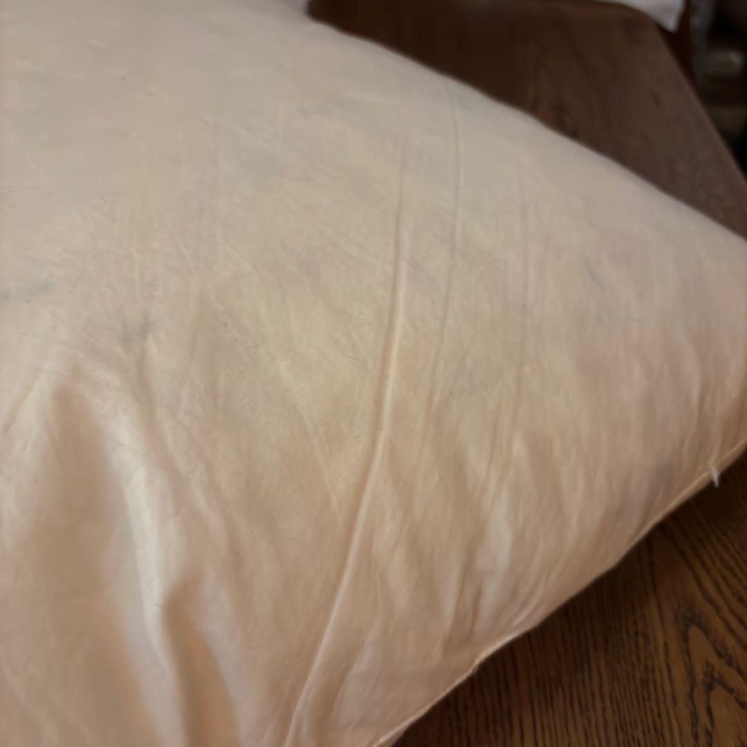 トラックファニチャー フェザークッション中身のみ　50×50