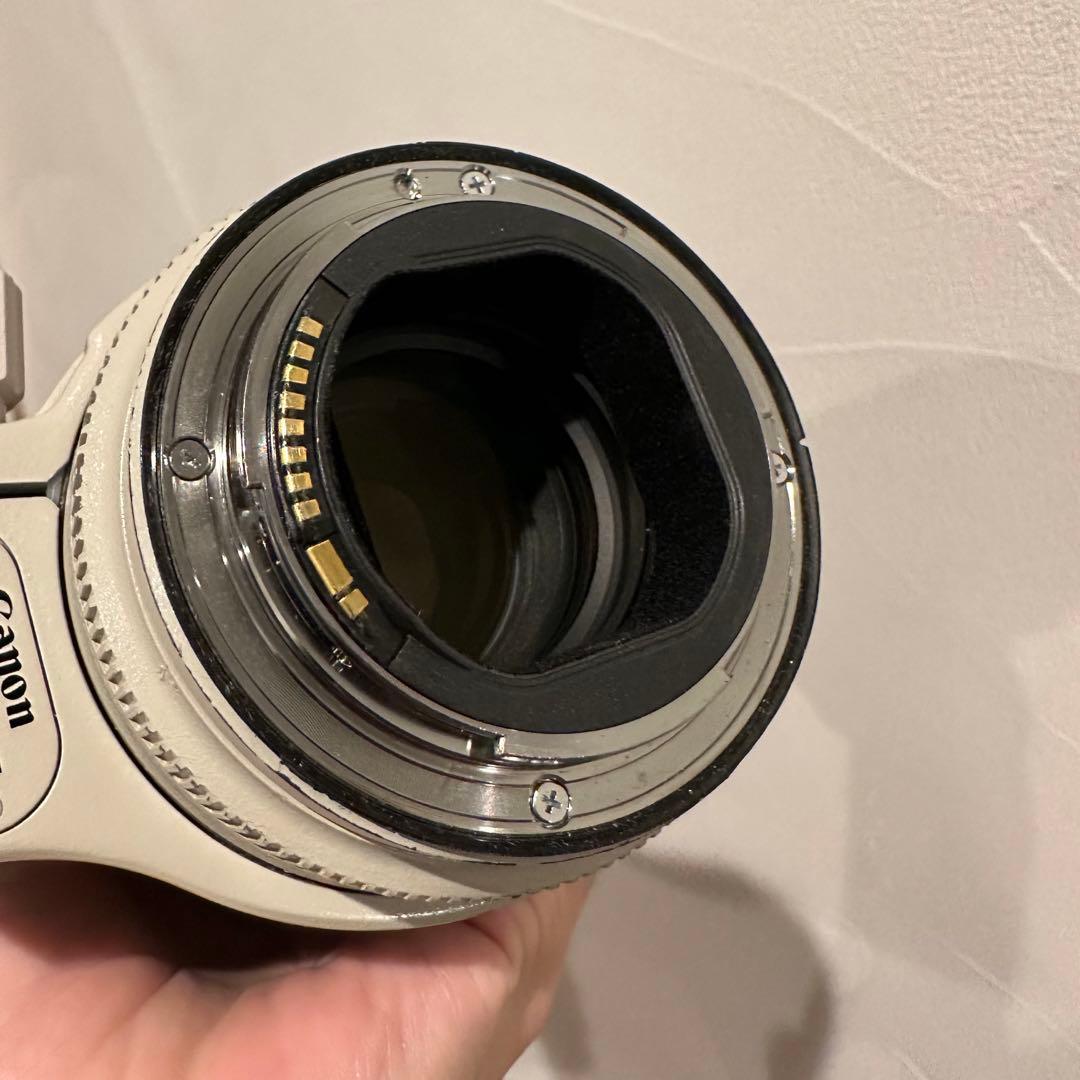 EF70-200mmF2.8L IS II USM　エクステンダーEF1.4XⅡ