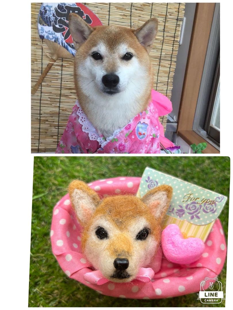 みー様　ご確認用　羊毛フェルト