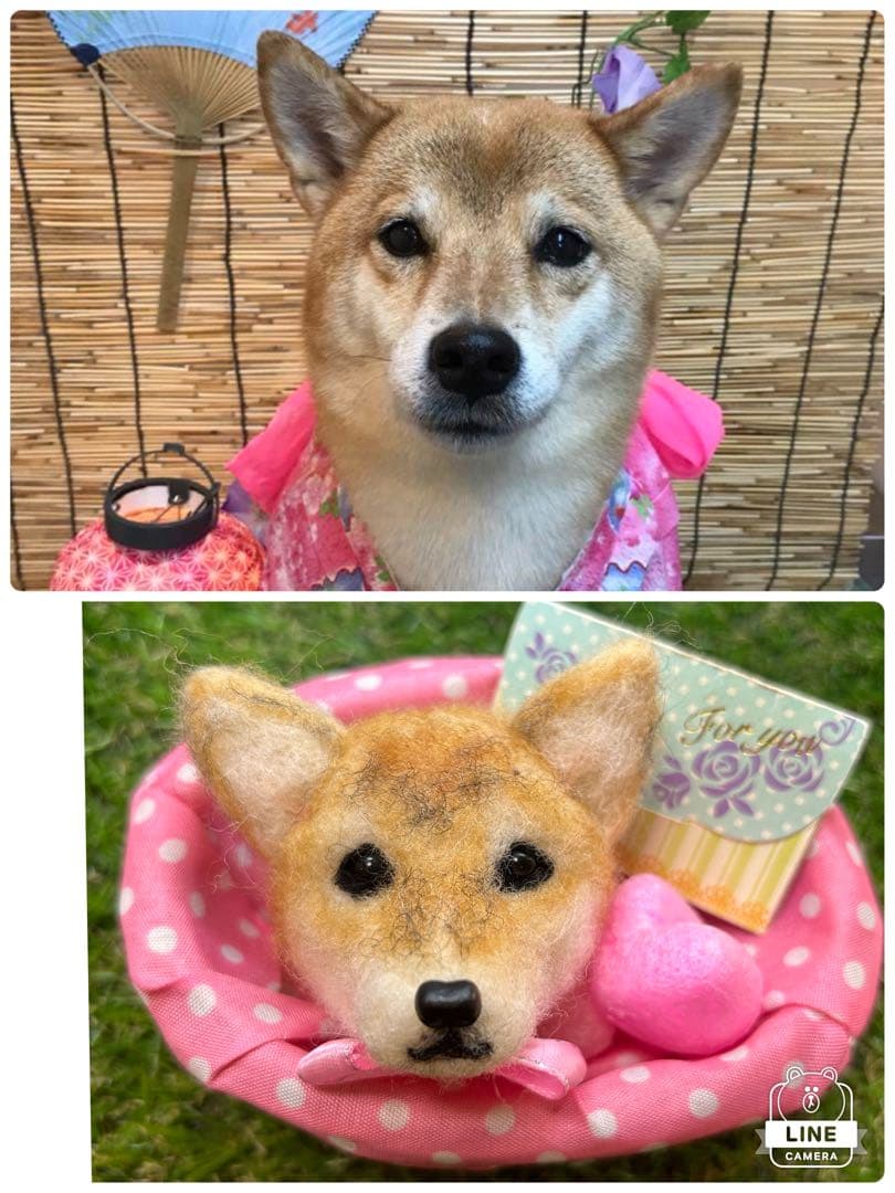 みー様　ご確認用　羊毛フェルト