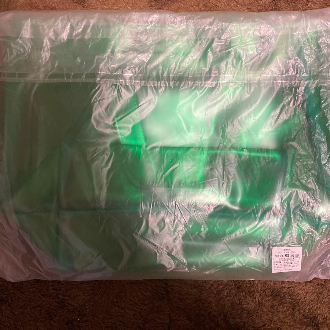 Mrs.Green Apple ビニールバッグ