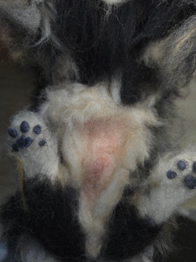 羊毛フェルト 愛犬オーダー 全身オーダー ☆ゆか様オーダー☆