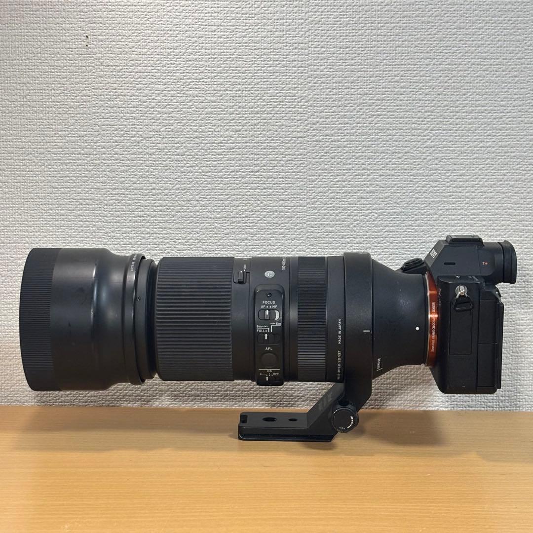 SIGMA 100-400mm f5-6.3 DG DN OS Eマウント