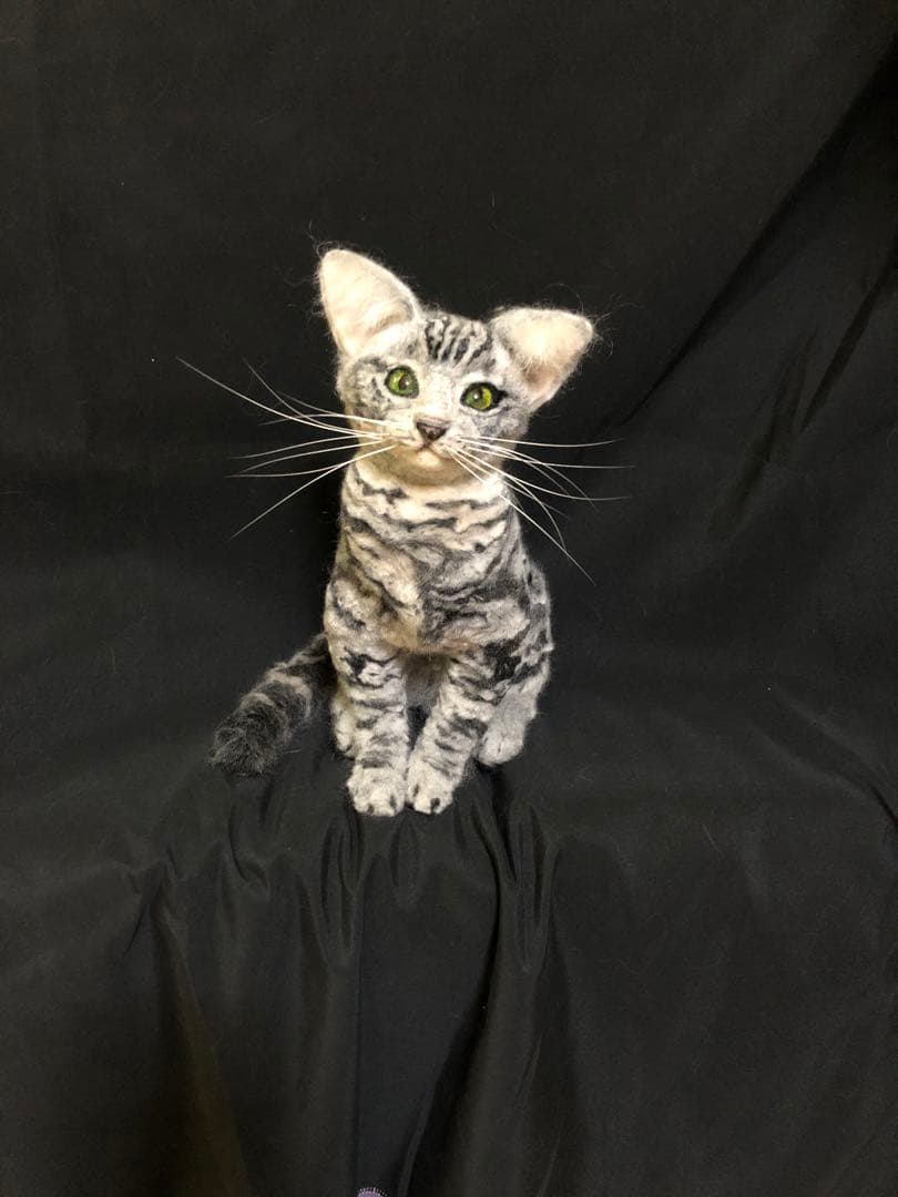 羊毛フェルト　アメショー　アメリカンショートヘア　猫　オーダー　うちの子