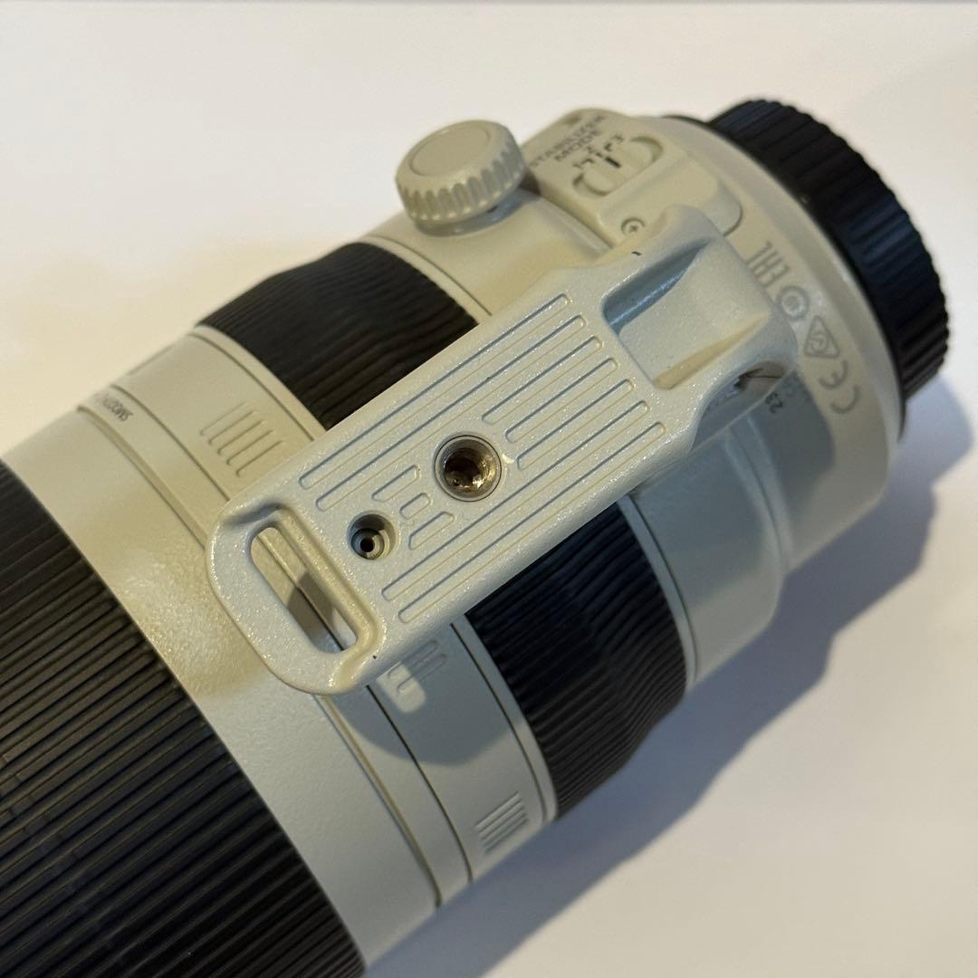 超美品Canon EF100-400mm F4.5-5.6L IS II USM