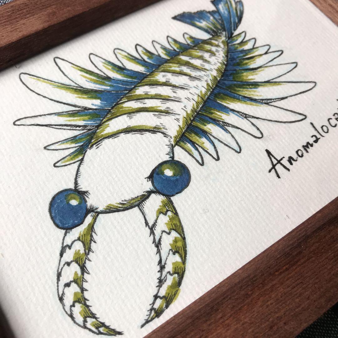 アノマロカリス イラスト