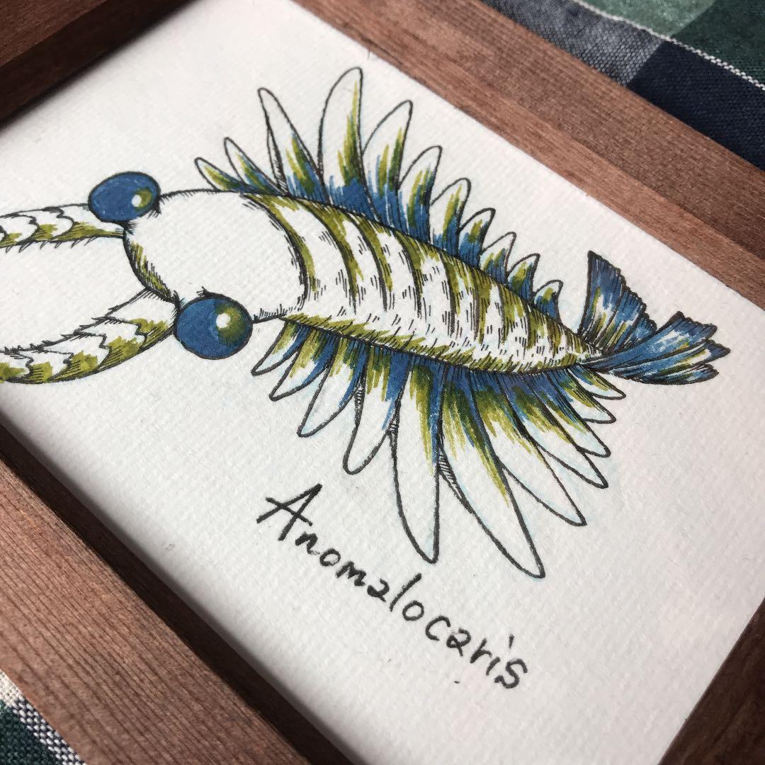 アノマロカリス イラスト