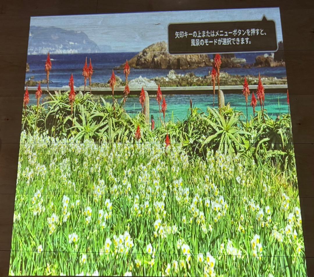 ☆GG04 Aladdin X2 Plus PA2P22U02Dj　2023年製