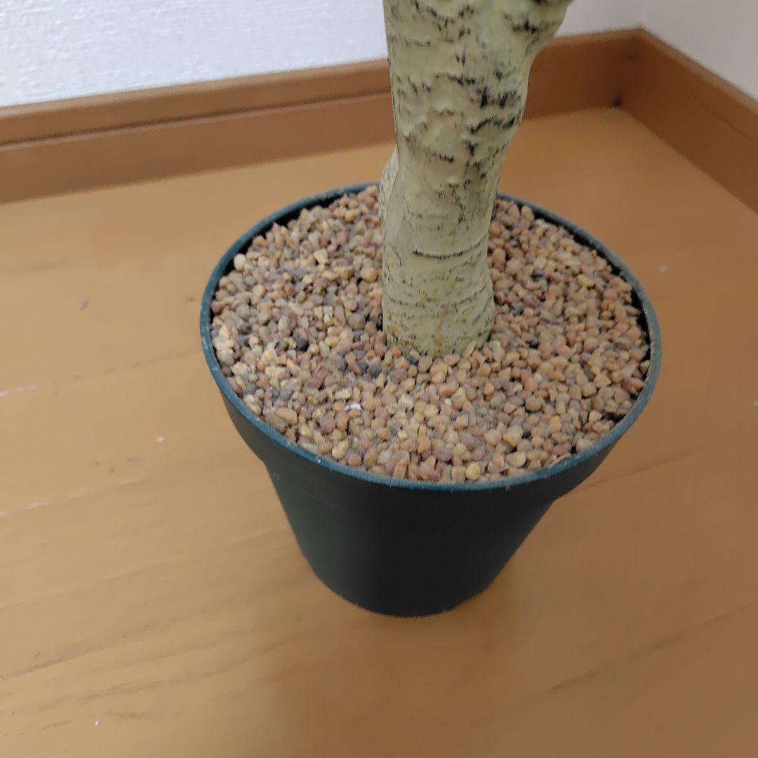 NITORI ドラセナ 観葉植物 フェイクグリーン 造花