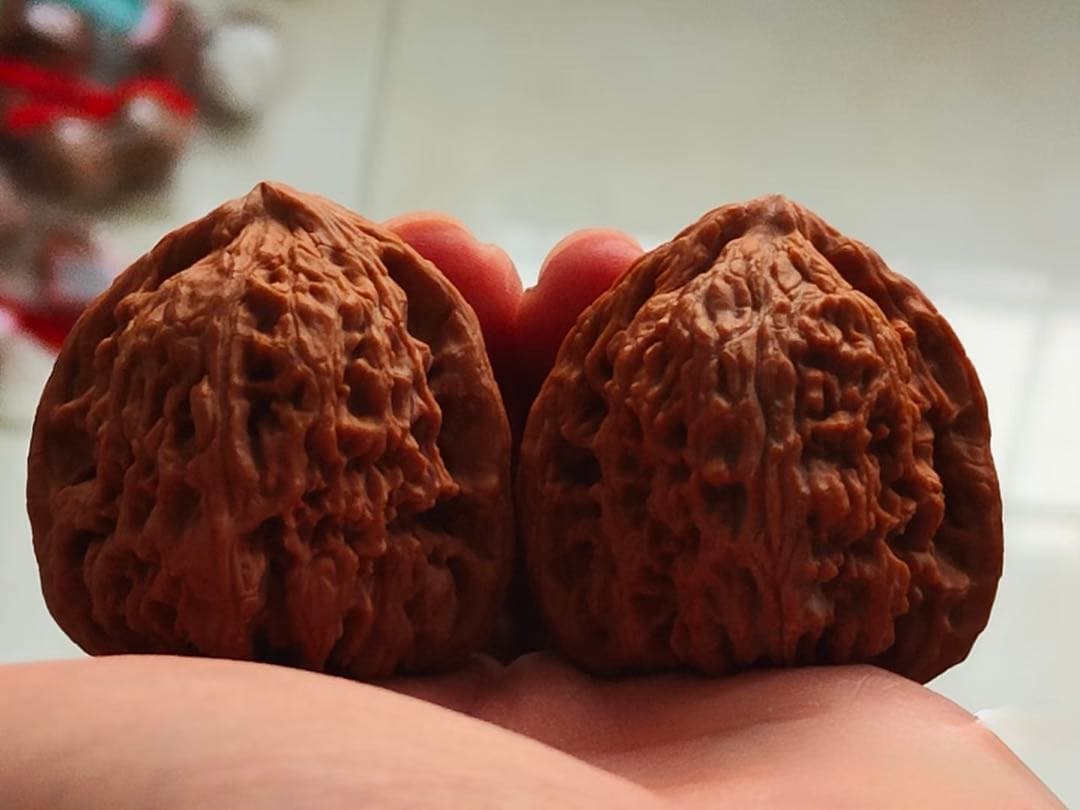 遊び胡桃【至高・三角】涿鹿産・三角南疆石 老樹