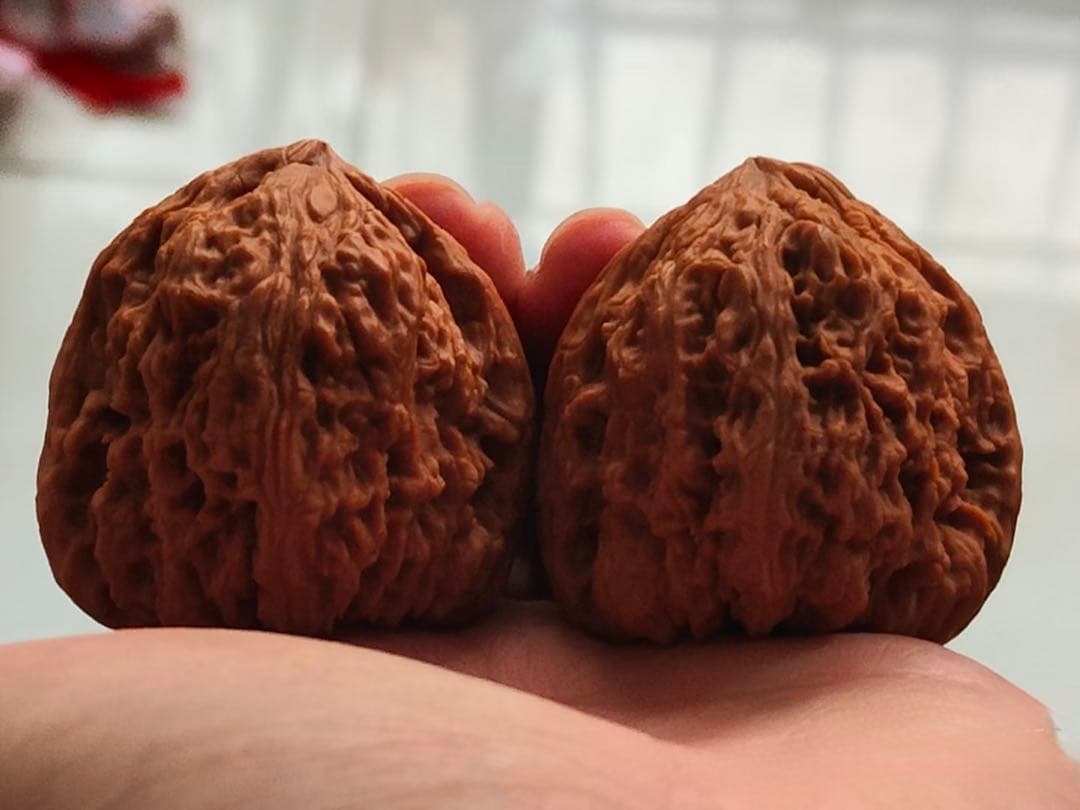 遊び胡桃【至高・三角】涿鹿産・三角南疆石 老樹