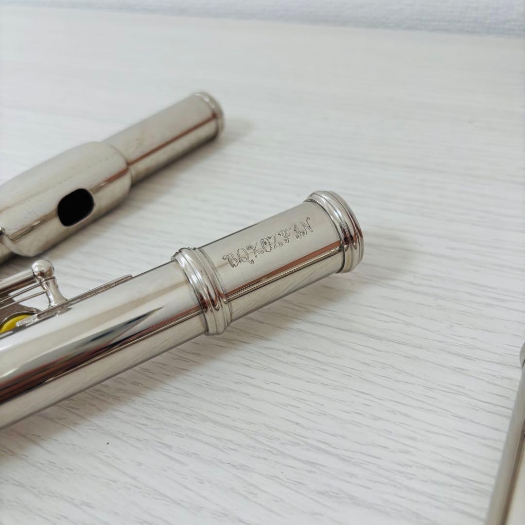 BQKOZFIN フルート 16穴 木管楽器 Cキー 初心者 Eメカ付き