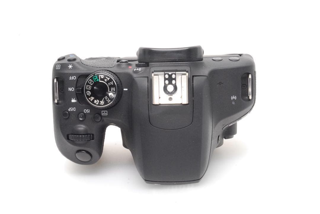 ✨ゆずぽんページ✨