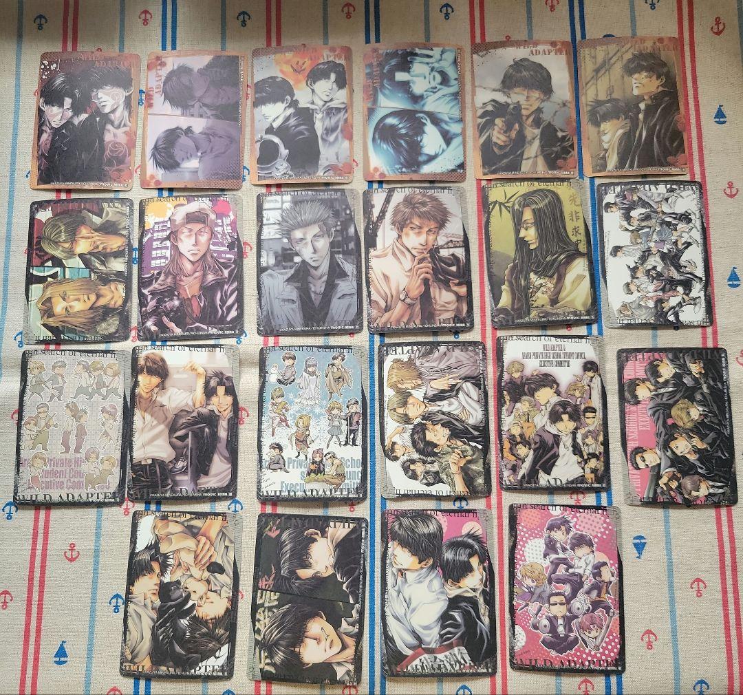 【期間限定】WILD ADAPTER トレーディングカード 57枚セット