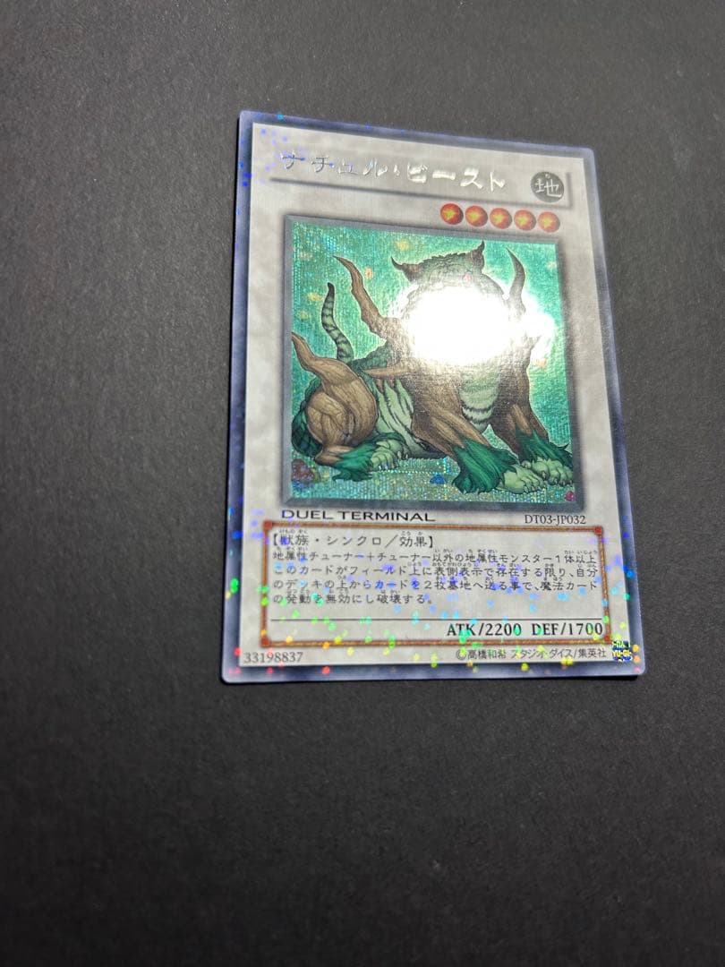 遊戯王 ナチュルビースト DTシークレット