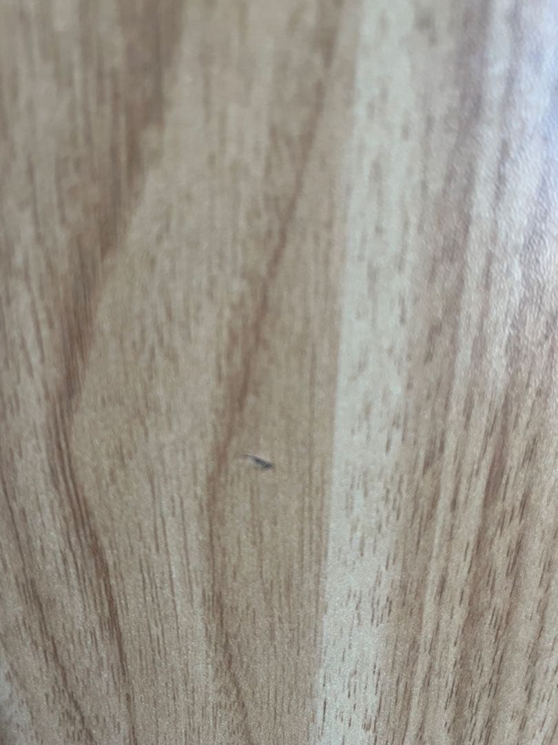 FlexiSpot 電動昇降式デスク CB38M2J E7Pro