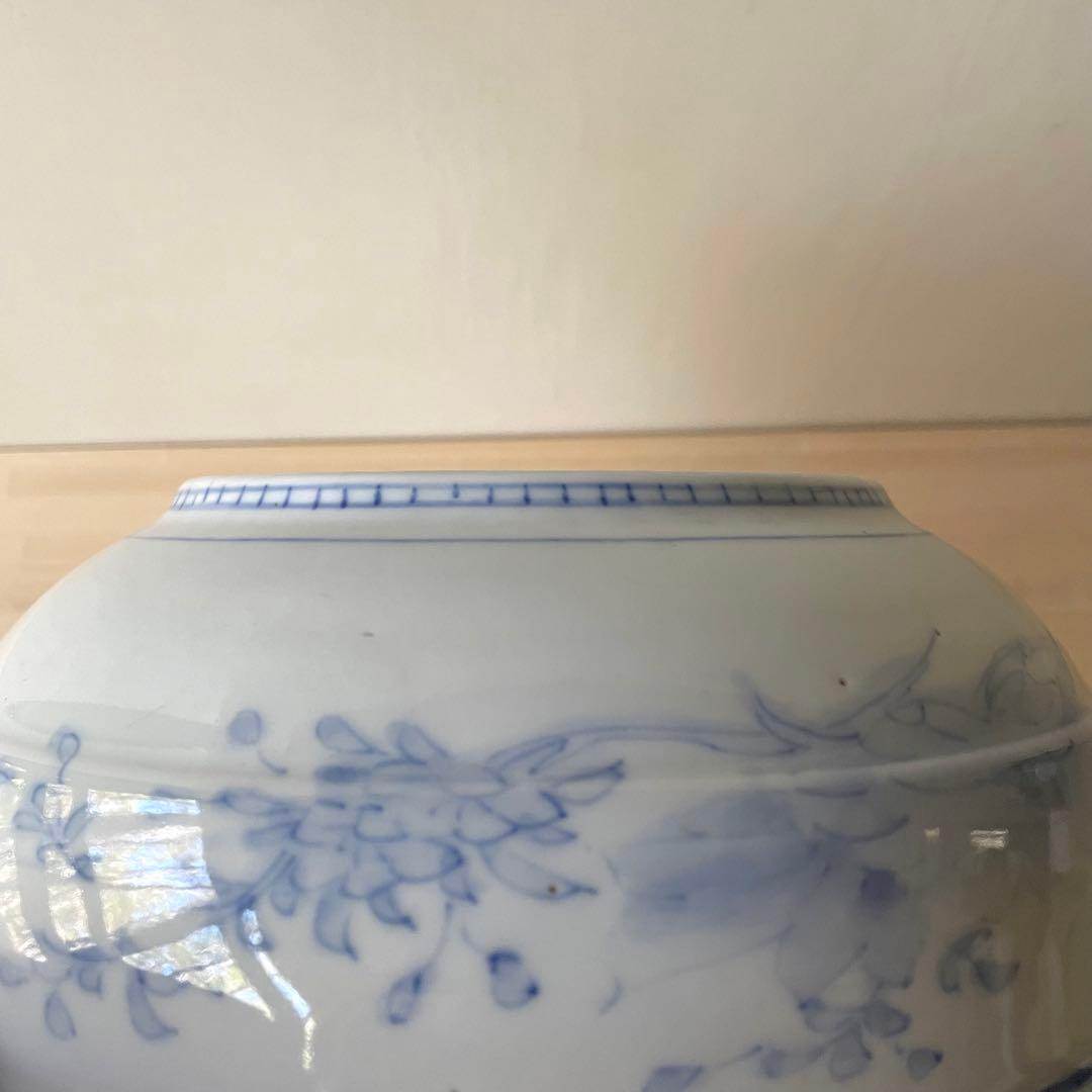 古伊万里 染付 草鳥文 深鉢 呉須 青花