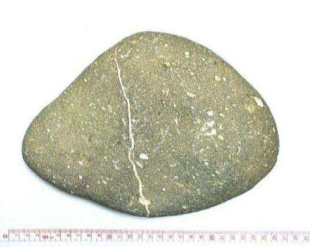青森県産 外ヶ浜町産 舎利母石 原石 水石 置き石 観賞石 奇石 約3.5kg