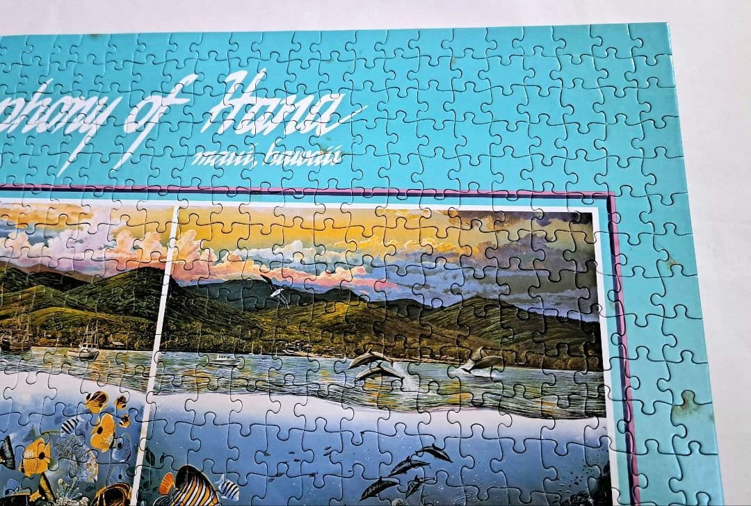 ジグソーパズル 1000ピース ハナのシンフォニー BEVERLY 廃版 希少