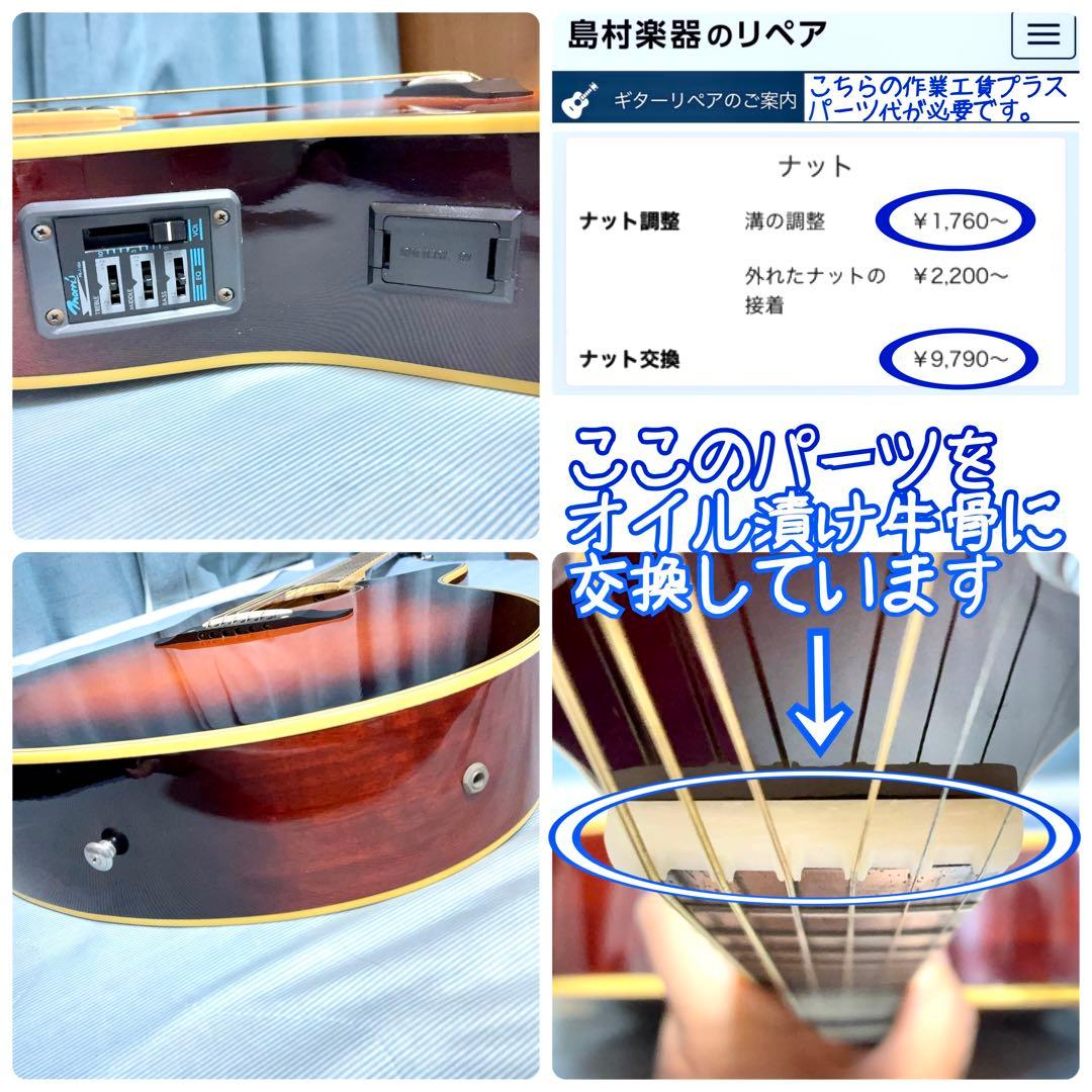 【牛骨★エレアコ】MORRIS！少し小ぶり！MR-2D【弾き易く調整☆新品弦】