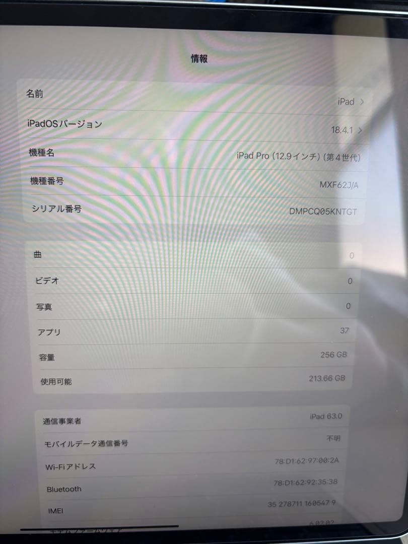 iPad Pro 第四世代　256GB セルラーモデル　純正パッド付き