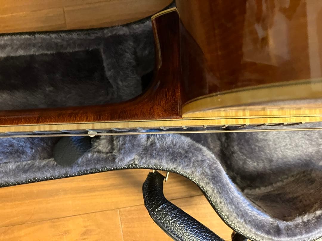 eastman AC610 オール単板