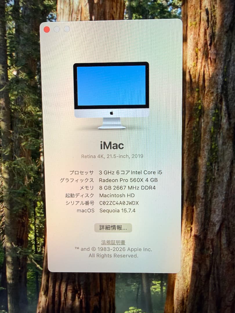 iMac Retina 4K, 21.5インチ, 2019　1TB