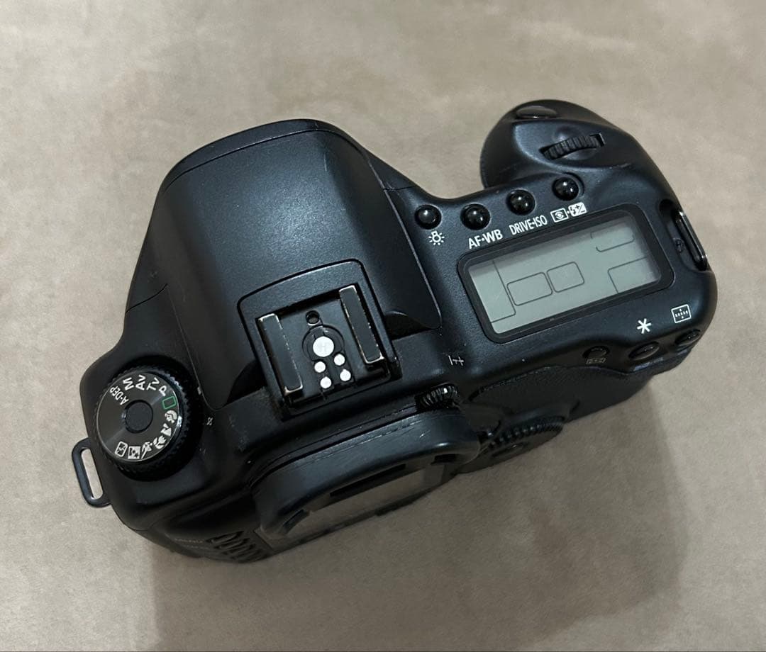 Canon EOS10D デジタル 一眼レフ カメラ キャノン 動作確認済