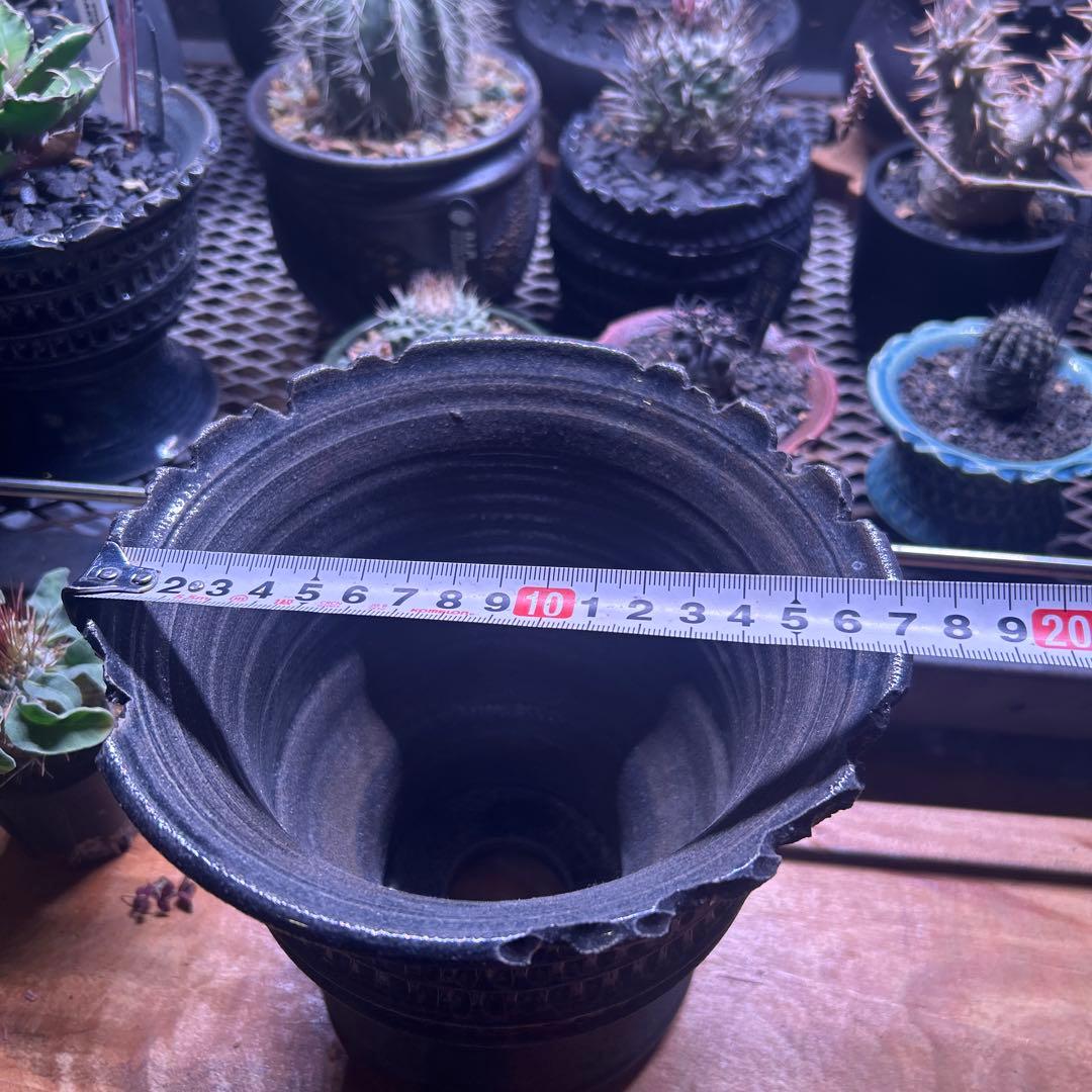 狂鉢　陶器鉢