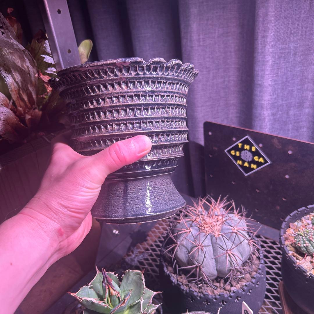 狂鉢　陶器鉢