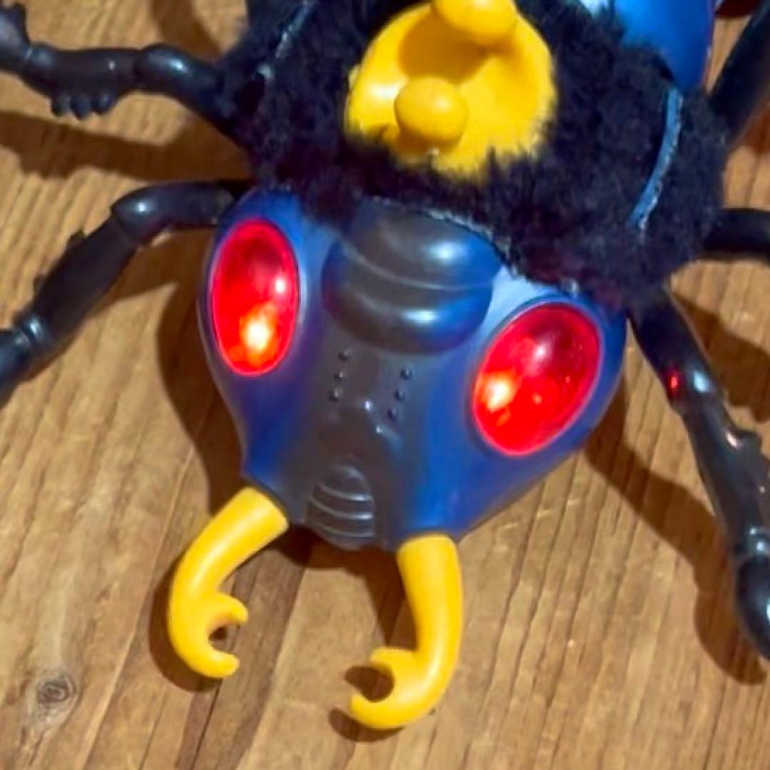 80’s Creepy Bug / セクターズ