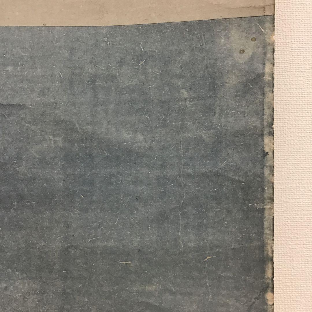 K茶道具　掛軸　「孔雀と牡丹」　落款上の署名「月老」￼配送用桐箱　S189KJ