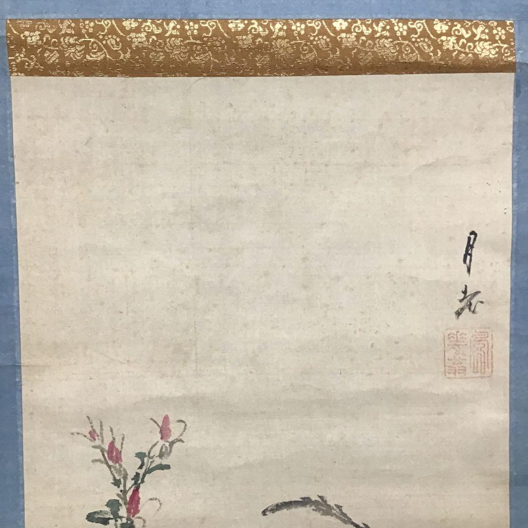 K茶道具　掛軸　「孔雀と牡丹」　落款上の署名「月老」￼配送用桐箱　S189KJ