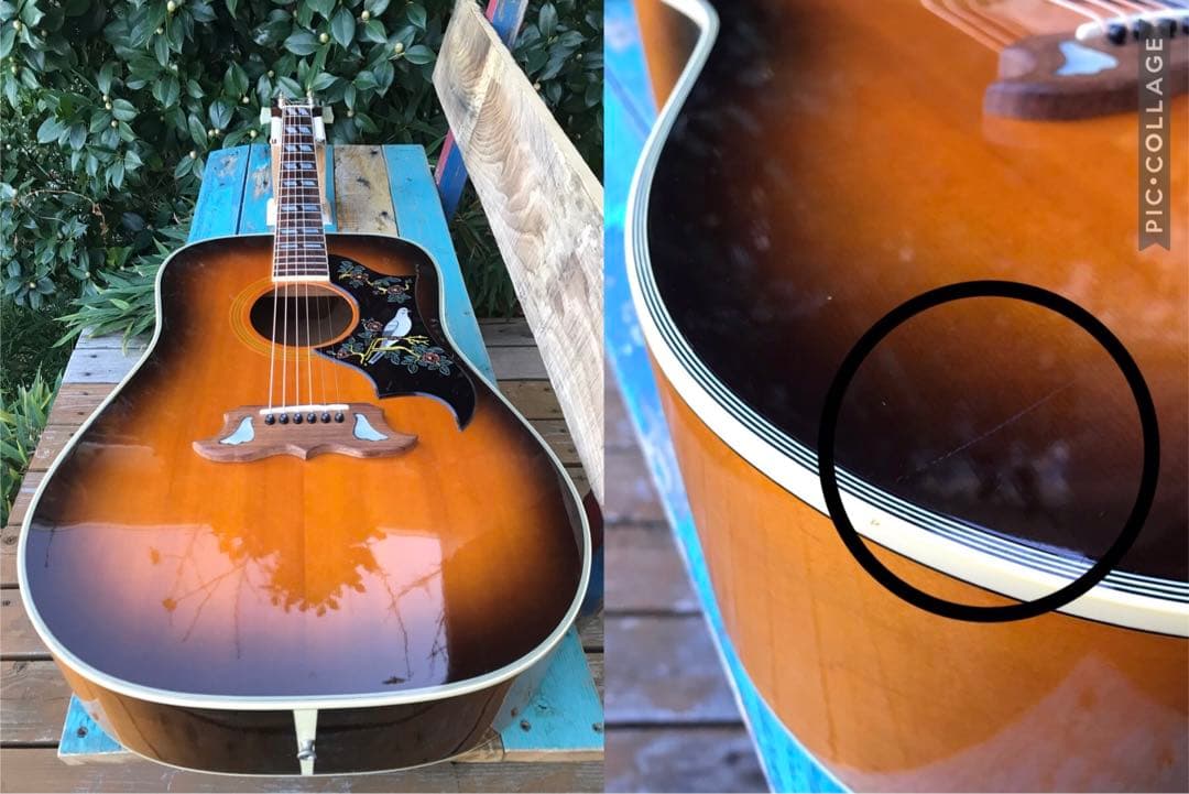 Orville by Gibson DOVE ギブソン