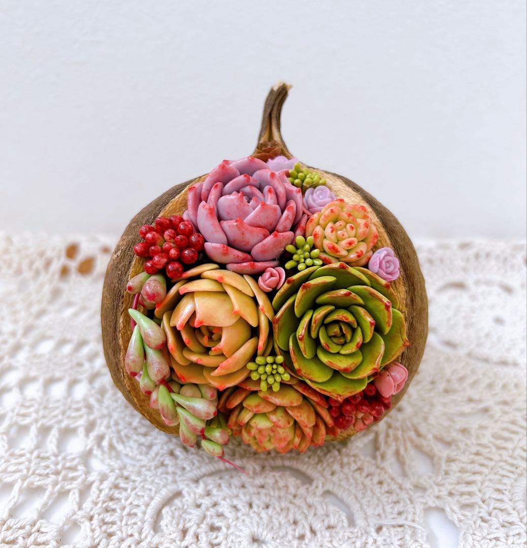 りかちゃん 樹脂多肉ウッドヘキサゴン.。❁*.:。❁