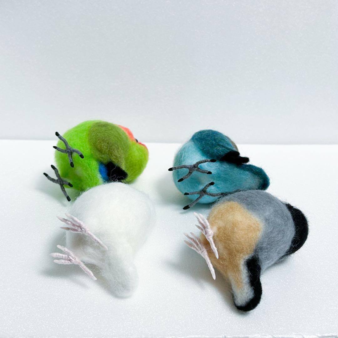 user_6cd345d3様　ブルーボタンインコ　コザクラインコ　桜文鳥　白文鳥