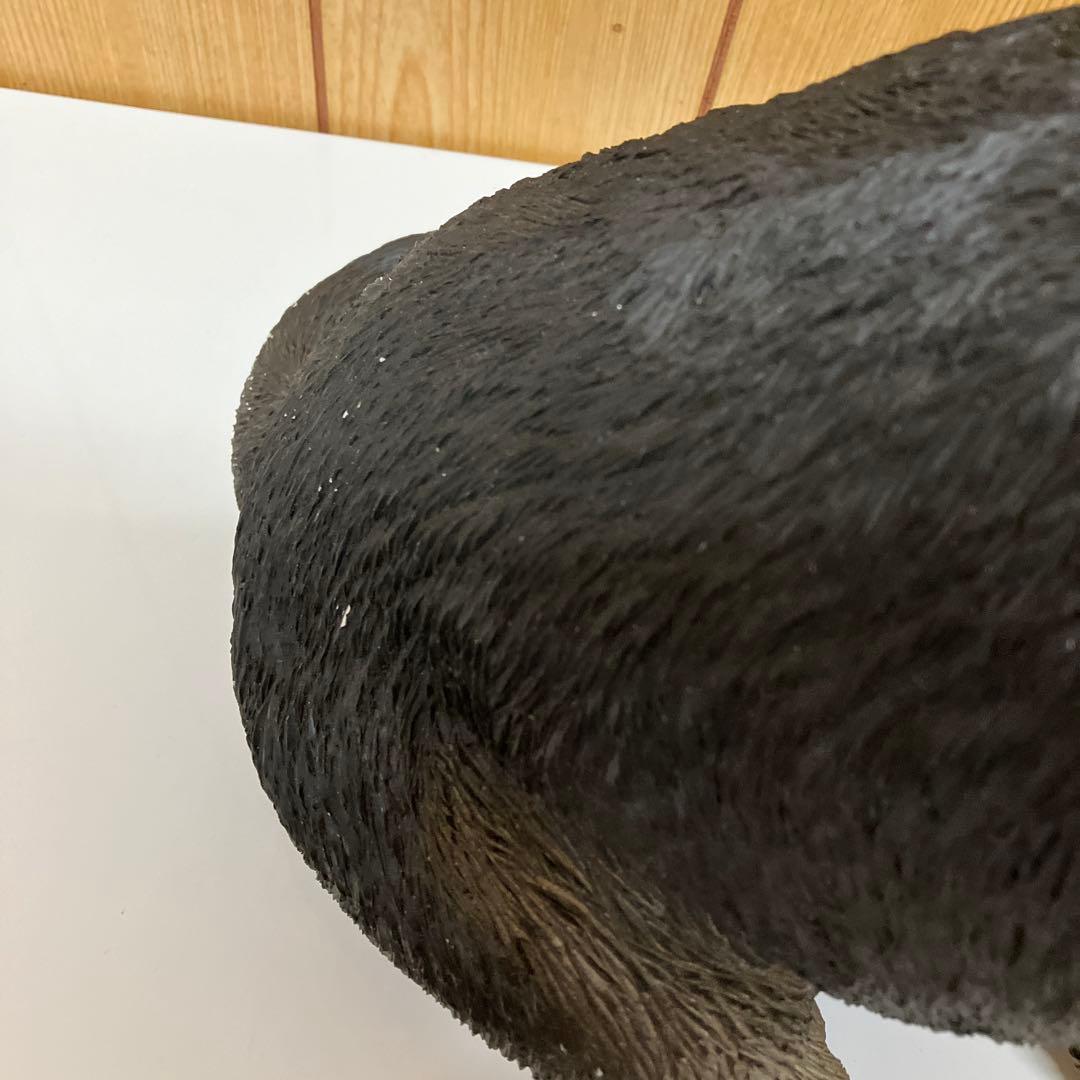 ES032 サンディキャスト J301 ジャーマンシェパード　子犬