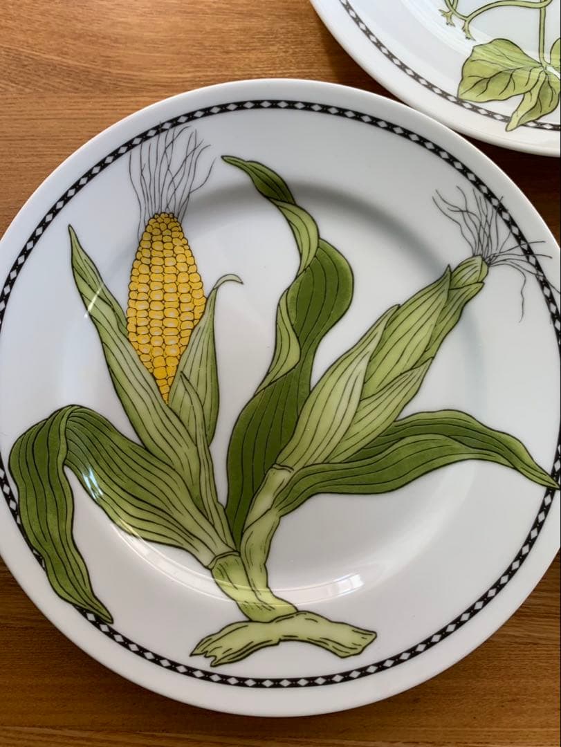 Williams Sonoma ウィリアムズソノマ サラダプレート 6枚セット