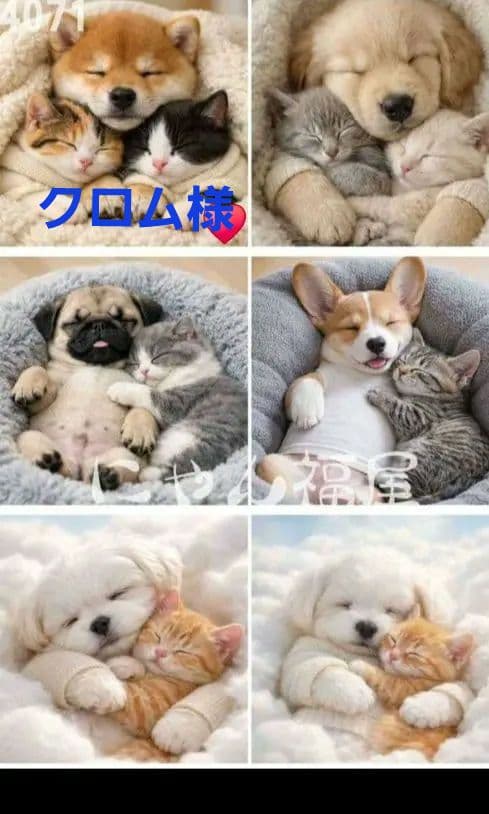 MAY様